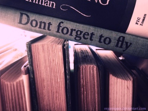 Don't Forget To Fly