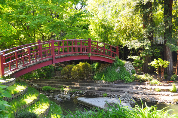 Jardin japonais contemporain