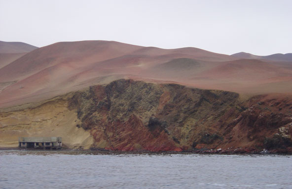 Islas Ballestas - Pérou