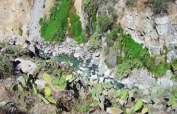 Canyon de Colca (Pérou)