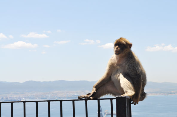 Croisière Saveurs et Découvertes - Escale à Gibraltar
