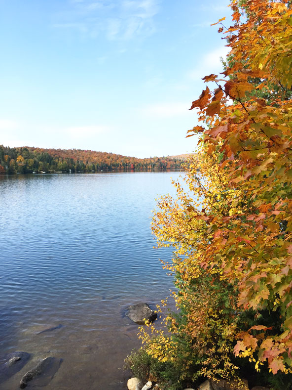 Lac Sarrazin à l'automne ( Québec)