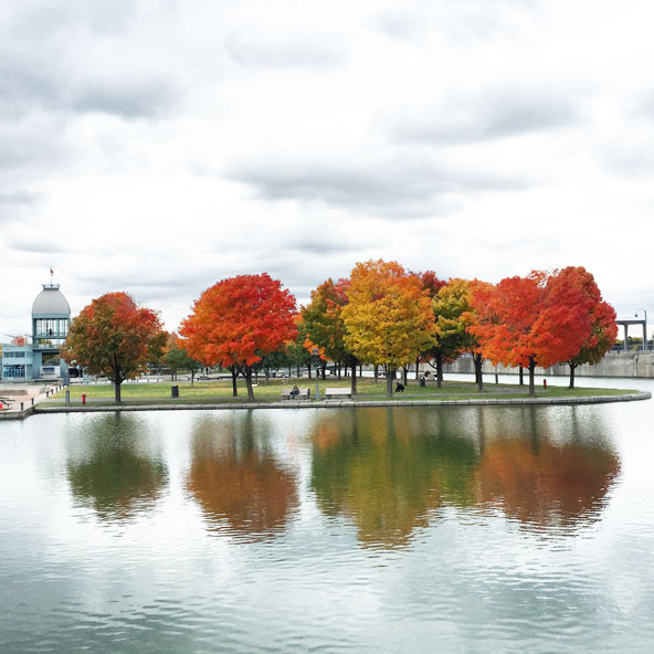 Vieux-Port de Montréal en automne