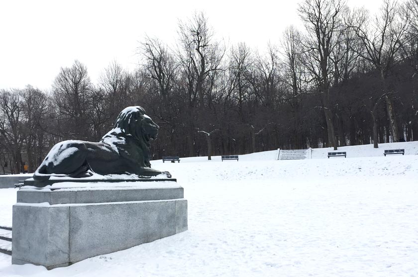Montréal en hiver - Parc Mont-Royal