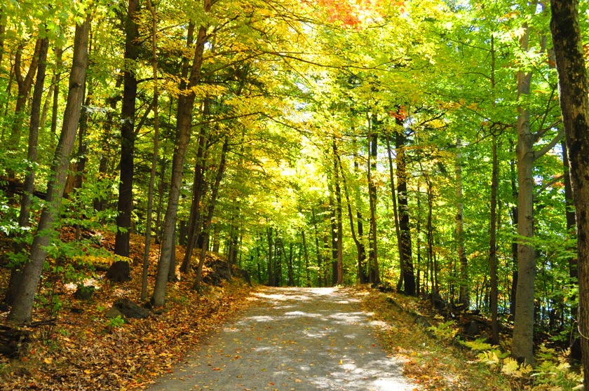 L'automne au Mont-Saint-Bruno (Montréal)