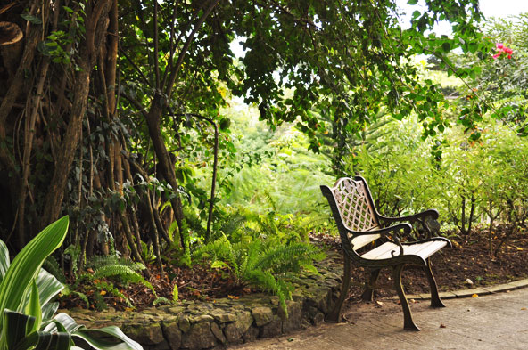 Jardin Botanique de Deshaies - Guadeloupe