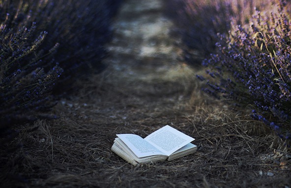 Lavender book